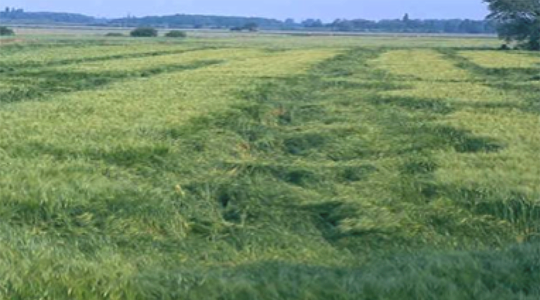 Präzises Streuen, Vorteil pur