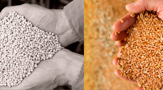 Vitale Inhaltsstoffe