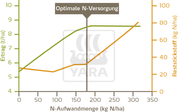 Optimale N-Versorgung 