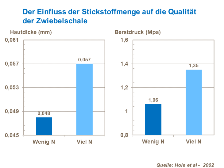 Der Einfluss der Stickstoffmenge auf die Qualit&auml;t der Zwiebelschale