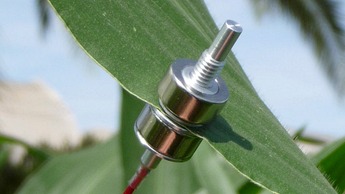 Sonde von Yara ZIM zur Messung des Wassergehalts der Blätter