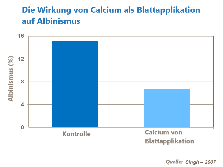 Haltbarkeit Erbeeren 7.png