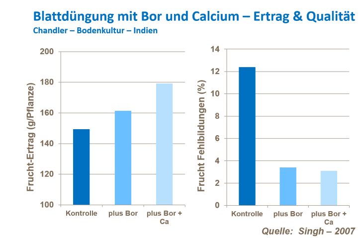 Fruchtzahl bei Erdbeeren 5.png