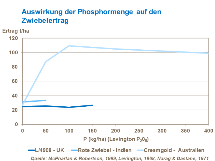 Die Auswirkung der Phosphormenge auf den Zwiebelertrag