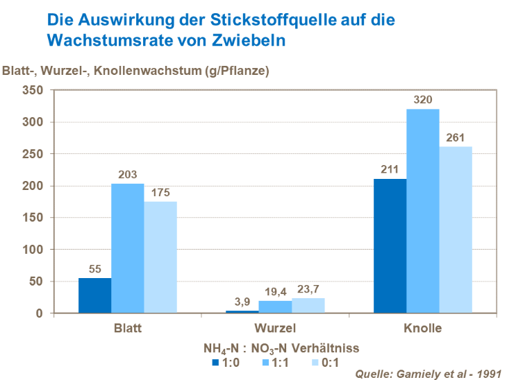 Die Auswirkung der Stickstoffquelle auf die Wachstumsrate von Zwiebeln