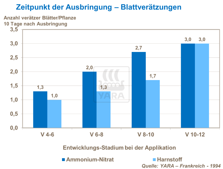 Zeitpunkt der Ausbringung - Blattverätzung 