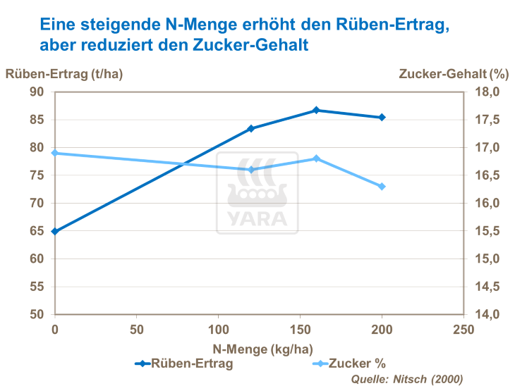 Eine steigende N-Menge erh&ouml;ht den R&uuml;ben-Ertrag, aber reduziert den Zucker-Gehalt 