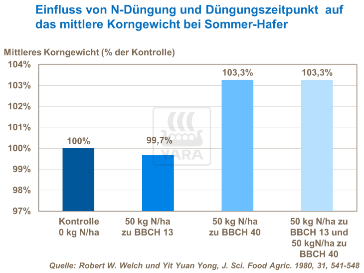 Einfluss von N-Düngung und Düngungszeitpunkt auf das mittlere Korngewicht bei Sommer-Hafer 