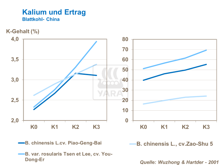 Kalium und Ertrag