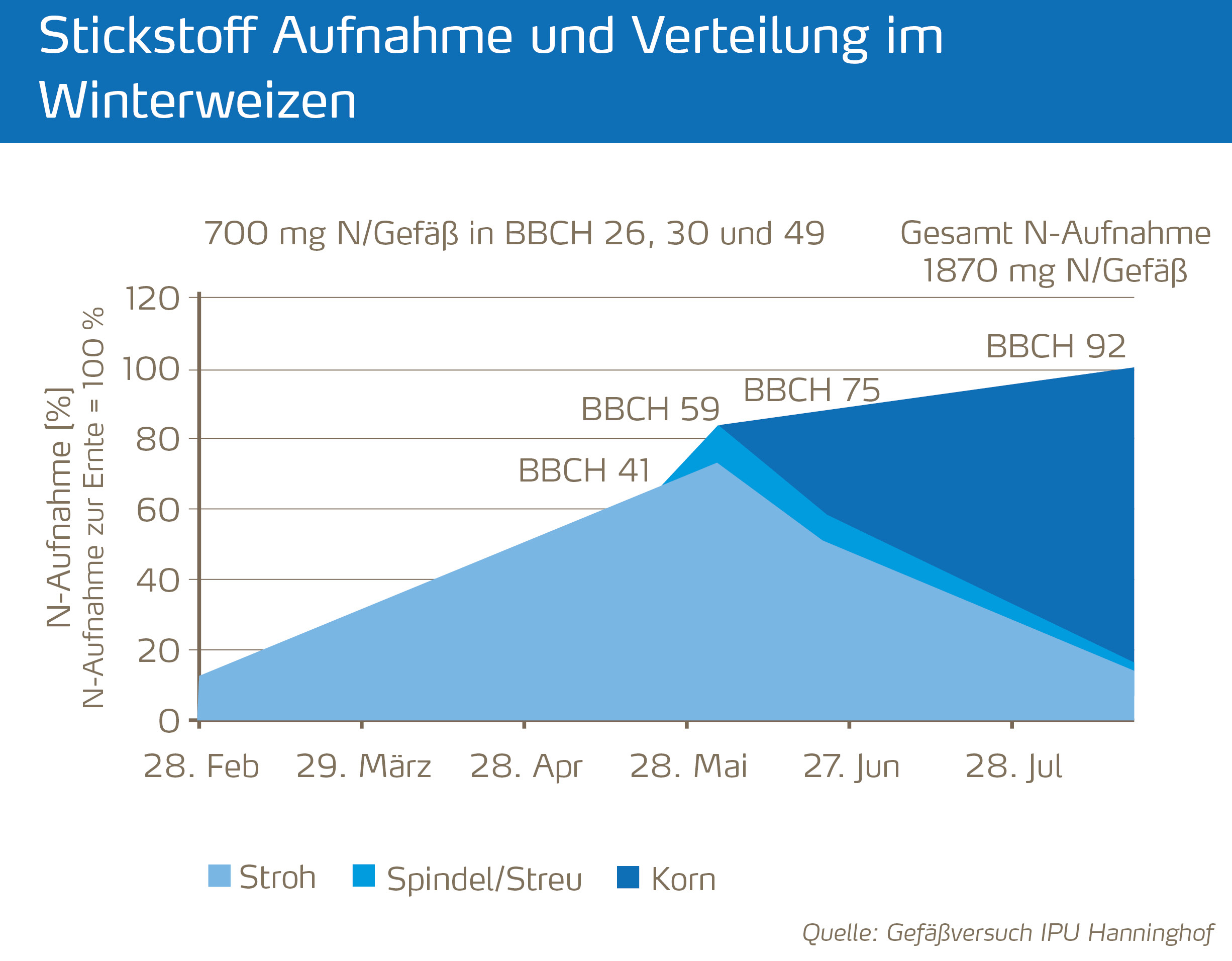 Stickstoffaufnahme und Verteilung im Winterweizen