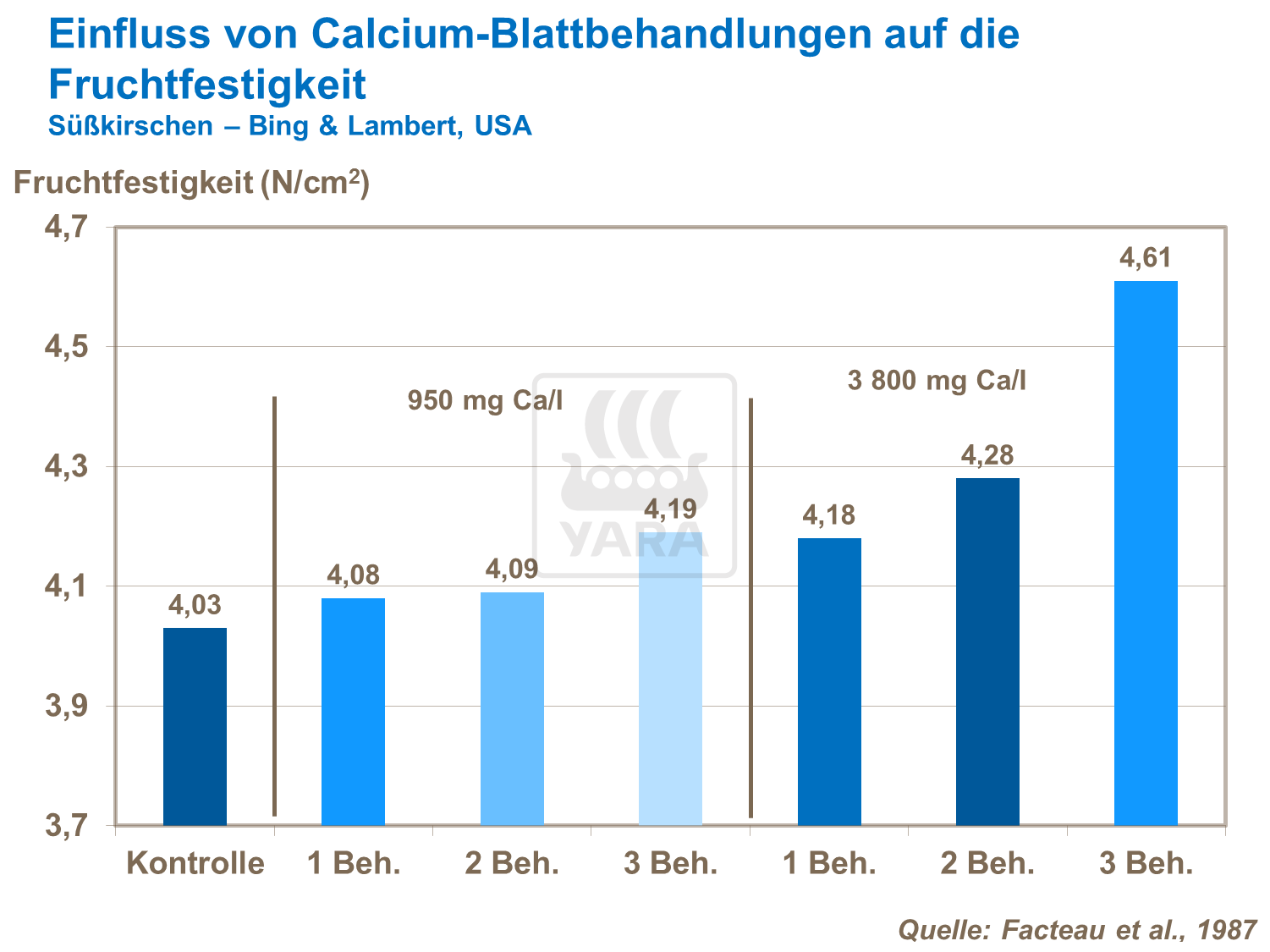 Einfluss von Calcium-Blattbehandlungen auf die Fruchtfestigkeit von Süßkirschen