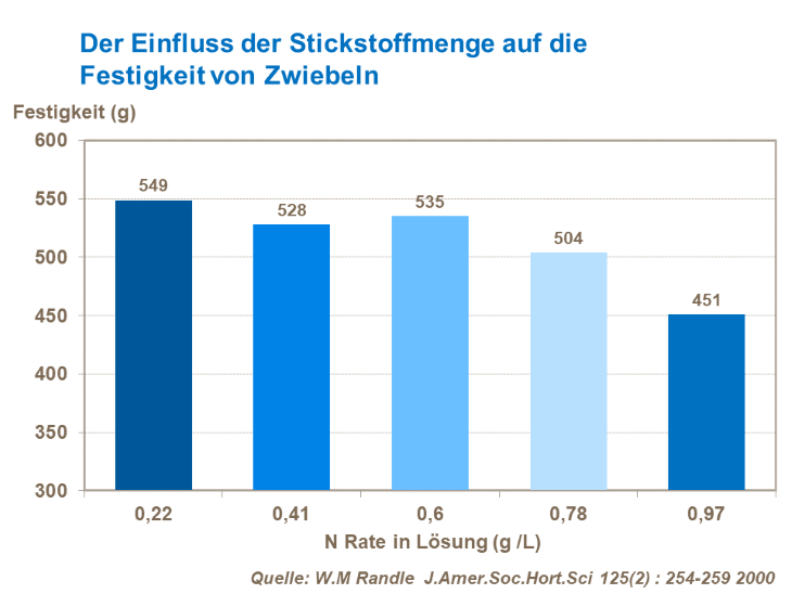Der Einfluss der Stickstoffmenge auf die Festigkeit von Zwiebeln