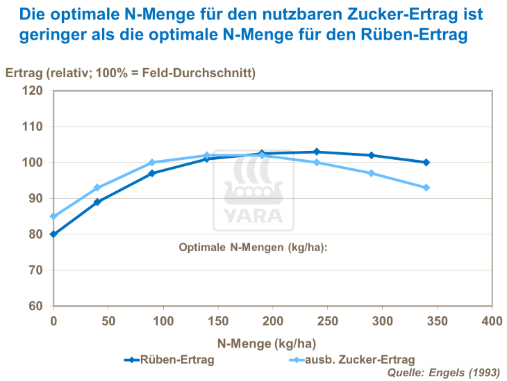 Die optimale N-Menge f&uuml;r den nutzbaren Zucker-Ertrag ist geringer als die optimale N-Menge f&uuml;r den R&uuml;ben-Ertrag 