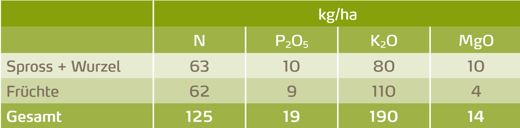 Naehrstoffaufnahme Erdbeeren