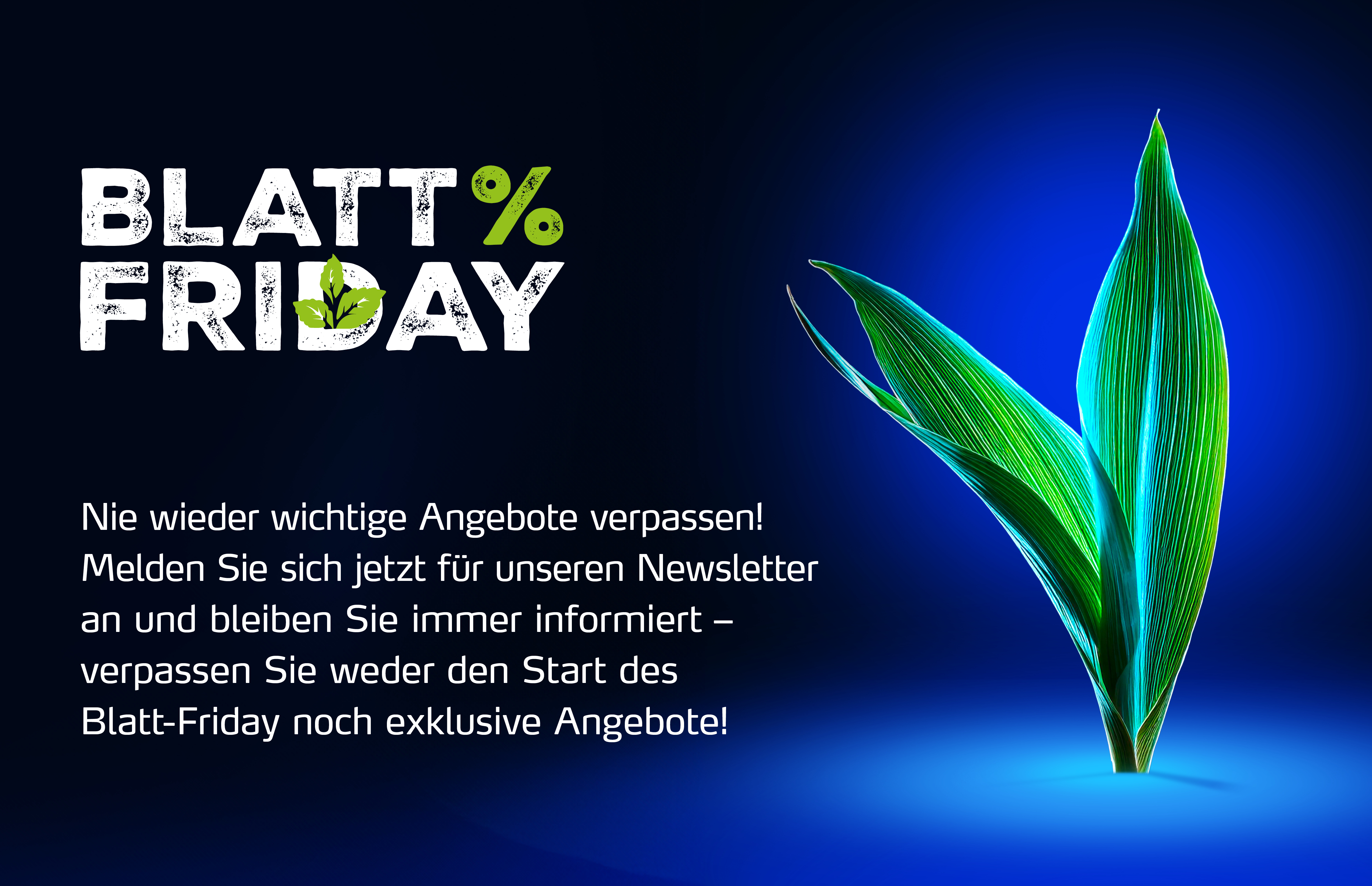 Yara Blatt Friday Newsletter