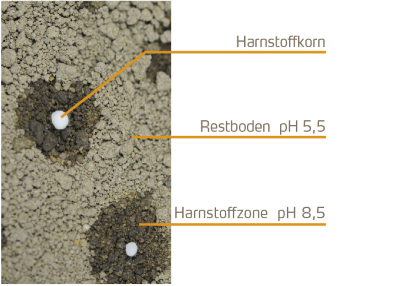 Erhöhung des pH-Wertes im Boden bei der Hydrolyse