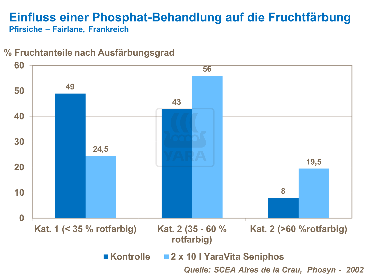 Einfluss einer Phosphat-Behandlung auf die Fruchtfestigkeit bei Pfirsichen