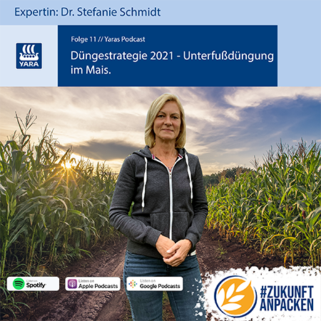 Podcast Mais Unterfußdüngung