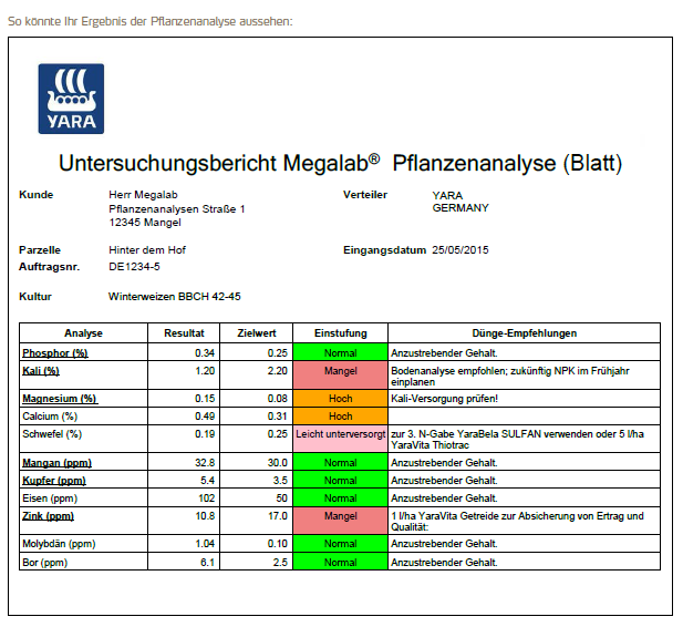 Untersuchungsbericht Megalab Analyse.png