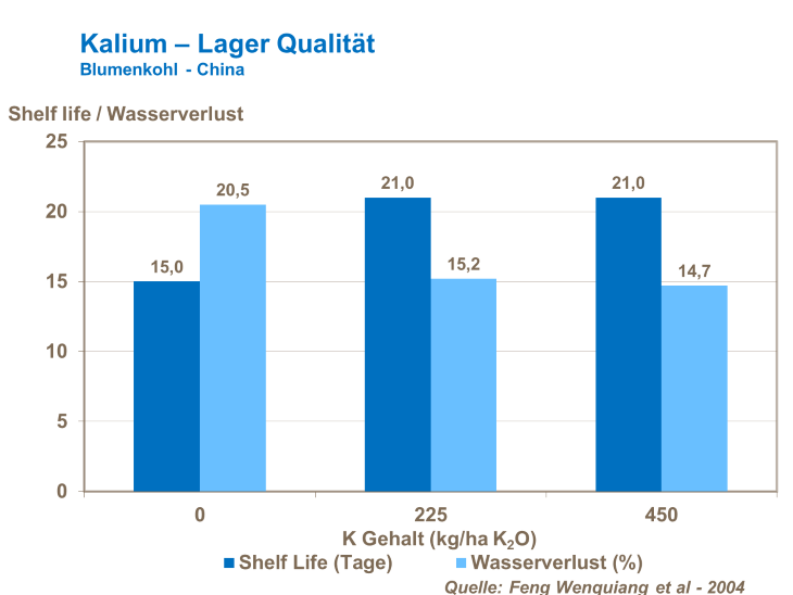 Kalium - Lager Qualität