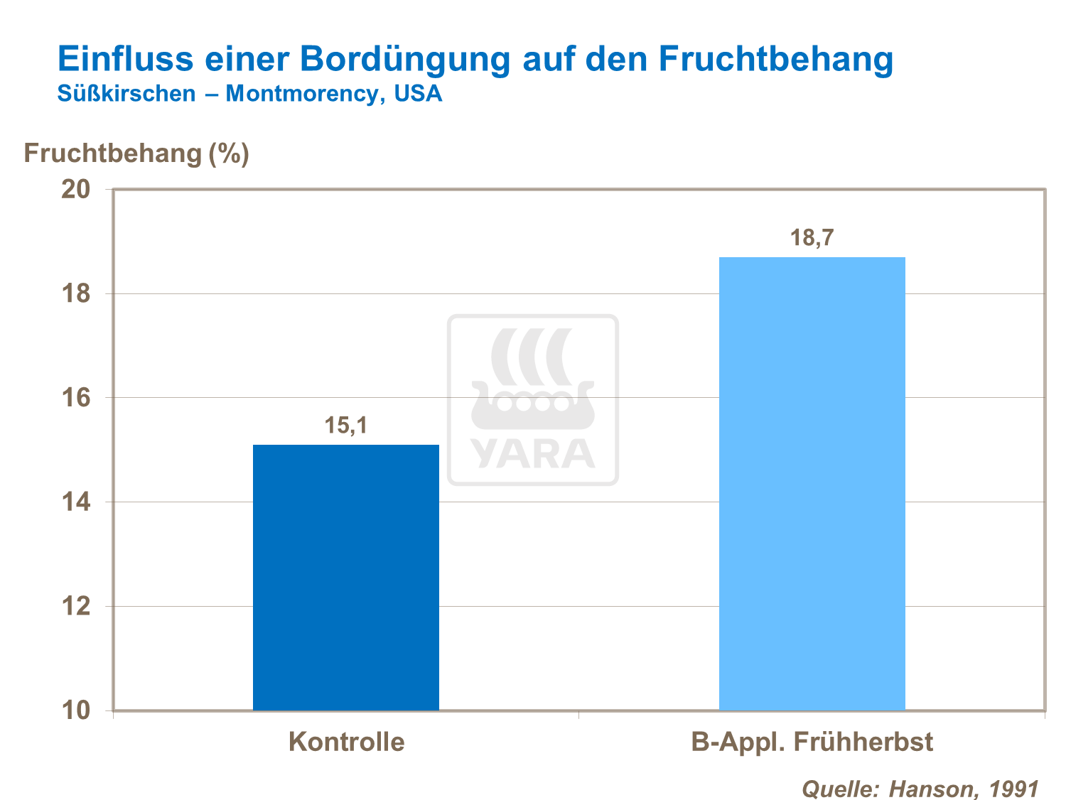 Einfluss der Bordüngung auf den Fruchtbehang bei Süßkirschen