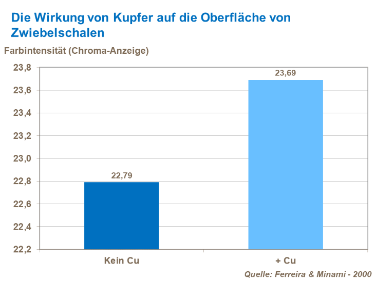 Die Wirkung von Kupfer auf die Oberfl&auml;che von Zwiebelschalen