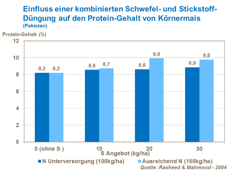 Einfluss einer kombinierten Schwefel- und Stickstoff-Düngung auf den Protein-Gehalt von Körnermais (Pakistan)
