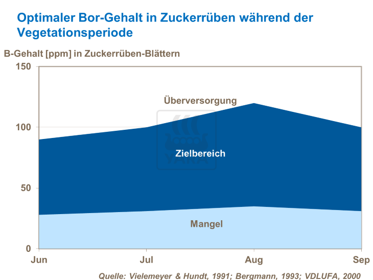 optimaler Bor-Gehalt in Zuckerr&uuml;be w&auml;hrend der Vegetationsperiode 