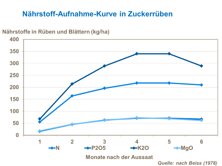 N&auml;hrstoff-Aufnahme-Kurve in Zuckerr&uuml;ben
