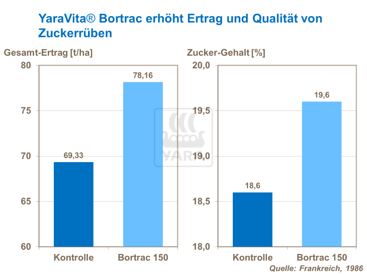 YaraVita Bortrac erh&ouml;ht Ertrag und Qualit&auml;t von Zuckerr&uuml;ben