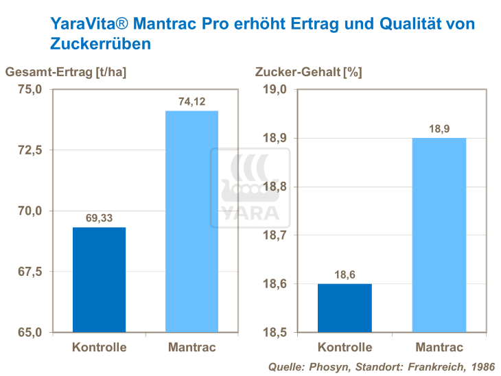 YaraVita Mantrac Pro erh&ouml;ht Ertrag und Qualit&auml;t von Zuckerr&uuml;ben