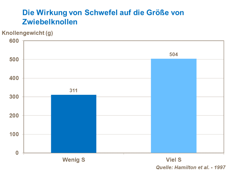 Das Diagramm zeigt die Auswirkungen von Schwefel auf das Gewicht der Knollen