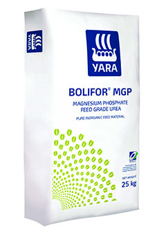 Bolifor_MGP neu-227.jpg