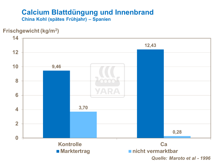 Calcium Blattdüngung und Innenbrand