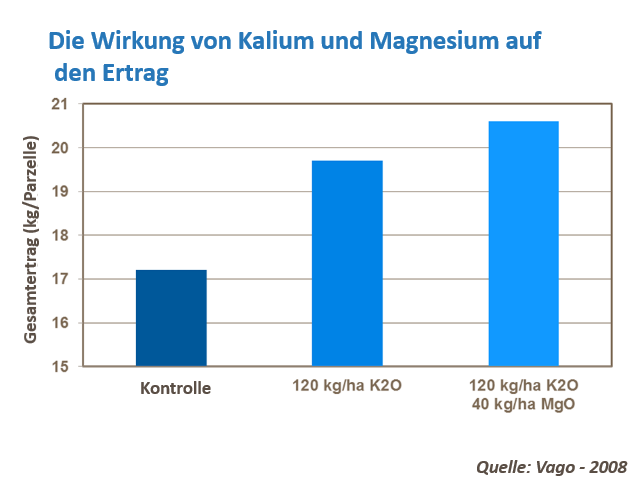 Erdbeerertrag erh&ouml;hen g.png