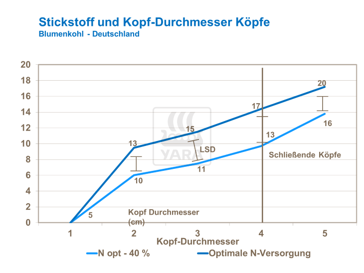 Stickstoff und Kopf-Durchmesser Köpfe