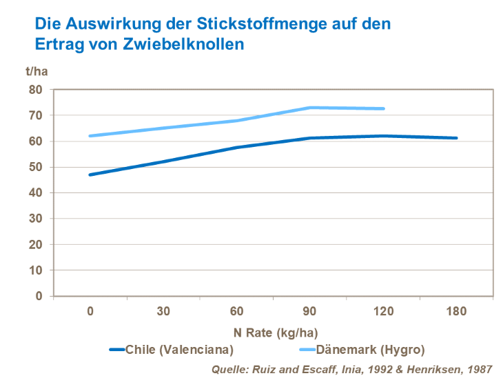 Die Auswirkung der Stickstoffmenge auf den Ertrag von Zwiebelknollen