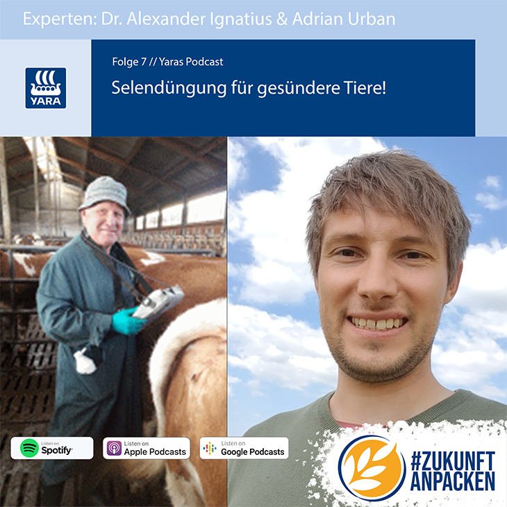 Podcast 1x1 Folge 7 Gr&uuml;nland Selen-730.png