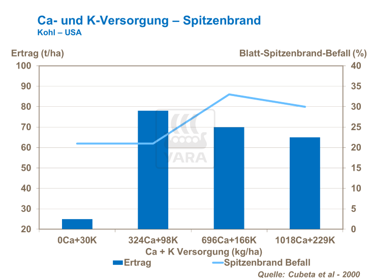 Ca- und K-Versorgung - Spitzenbrand