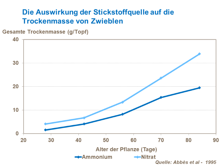 Die Auswirkung der Stickstoffquelle auf die Trockenmasse von Zwiebeln