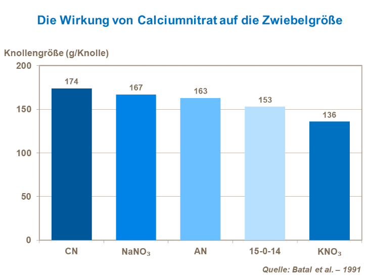 Die Wirkung von Calciumnitrat auf die Zwiebelgr&ouml;&szlig;e 