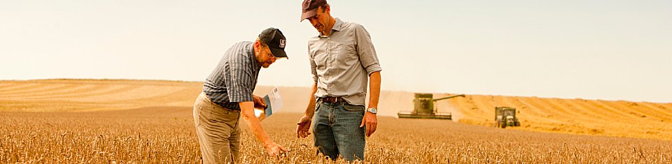 Bild Nitratdünger - Eine Einführung 