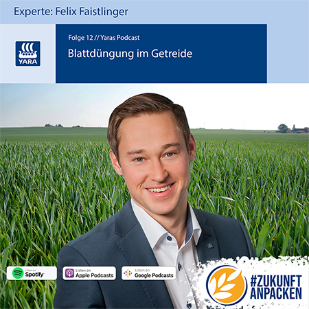 Podcast Blattdüngung im Getreide