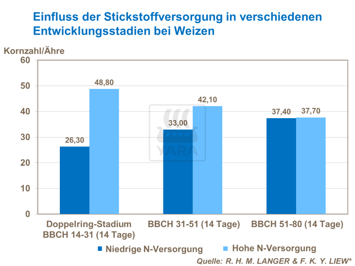 Einfluss der Stickstoffversorgung in verschiedenen Entwicklungsstadien bei Weizen