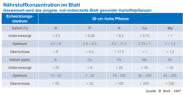 Nährstoffkonzentration im Blatt
