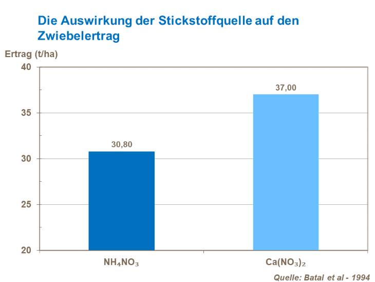 Die Auswirkung der Stickstoffquelle auf den Ertrag von Zwiebeln
