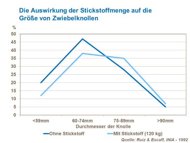 Die Auswirkung der Stickstoffmenge auf die Gr&ouml;&szlig;e von Zwiebeln