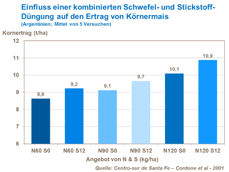 Einfluss einer kombinierten Schwefel- und Stickstoff-Düngung auf den Ertrag von Körnermais 