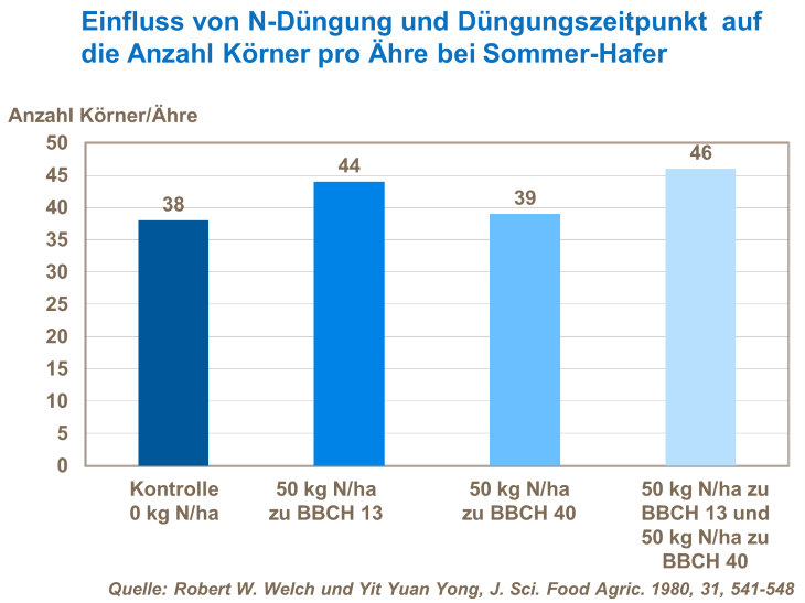 Einfluss von N-Düngung und Düngungszeitpunkt auf die Anzahl Körner pro Ähre bei Sommer-Hafer