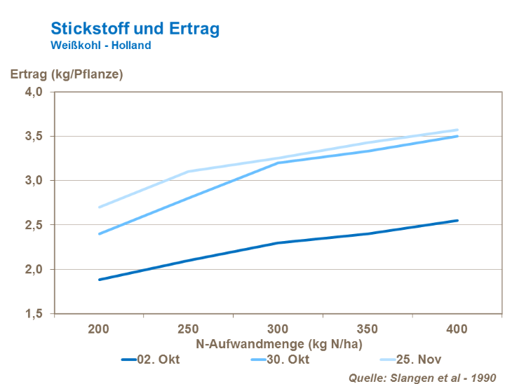 Stickstoff und Ertrag Weißkohl Holland